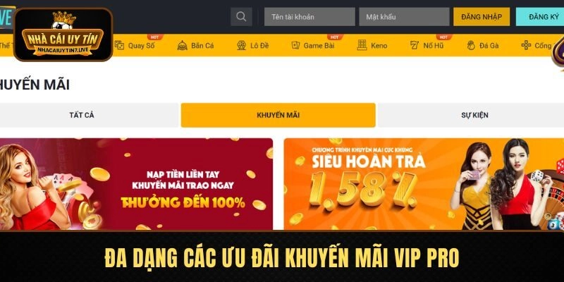 Đa dạng các ưu đãi khuyến mãi vip pro