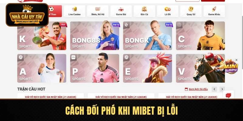 Cách xử lý khi trang bị lỗi