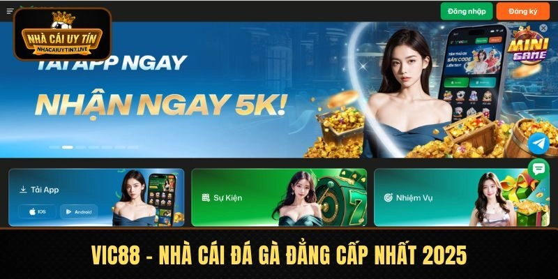 Vic88 - Nhà cái đá gà đẳng cấp nhất 2025