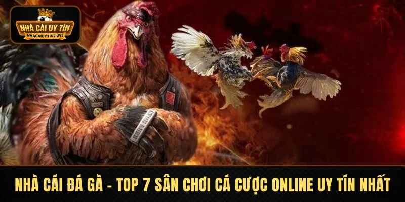 Nhà Cái Đá Gà – Top 7 Sân Chơi Cá Cược Online Uy Tín Nhất